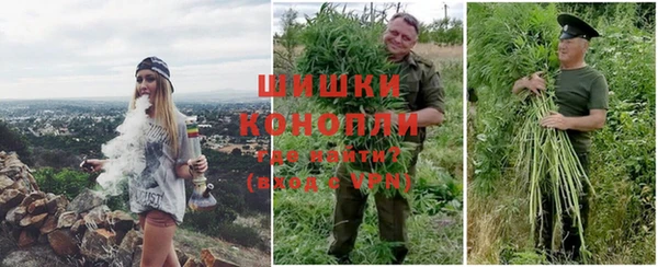 дурь Касимов