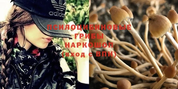 мяу мяу кристалл Карталы