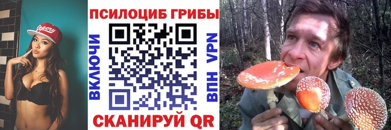 Псилоцибиновые грибы Cubensis Купить где Новая Ладога