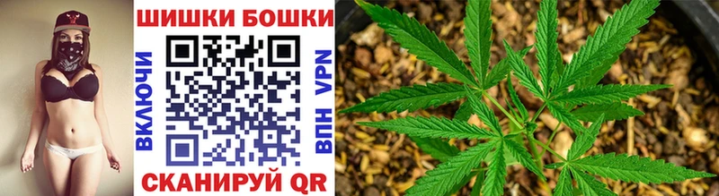 Марихуана ГИДРОПОН  Купить где  Новая Ладога 